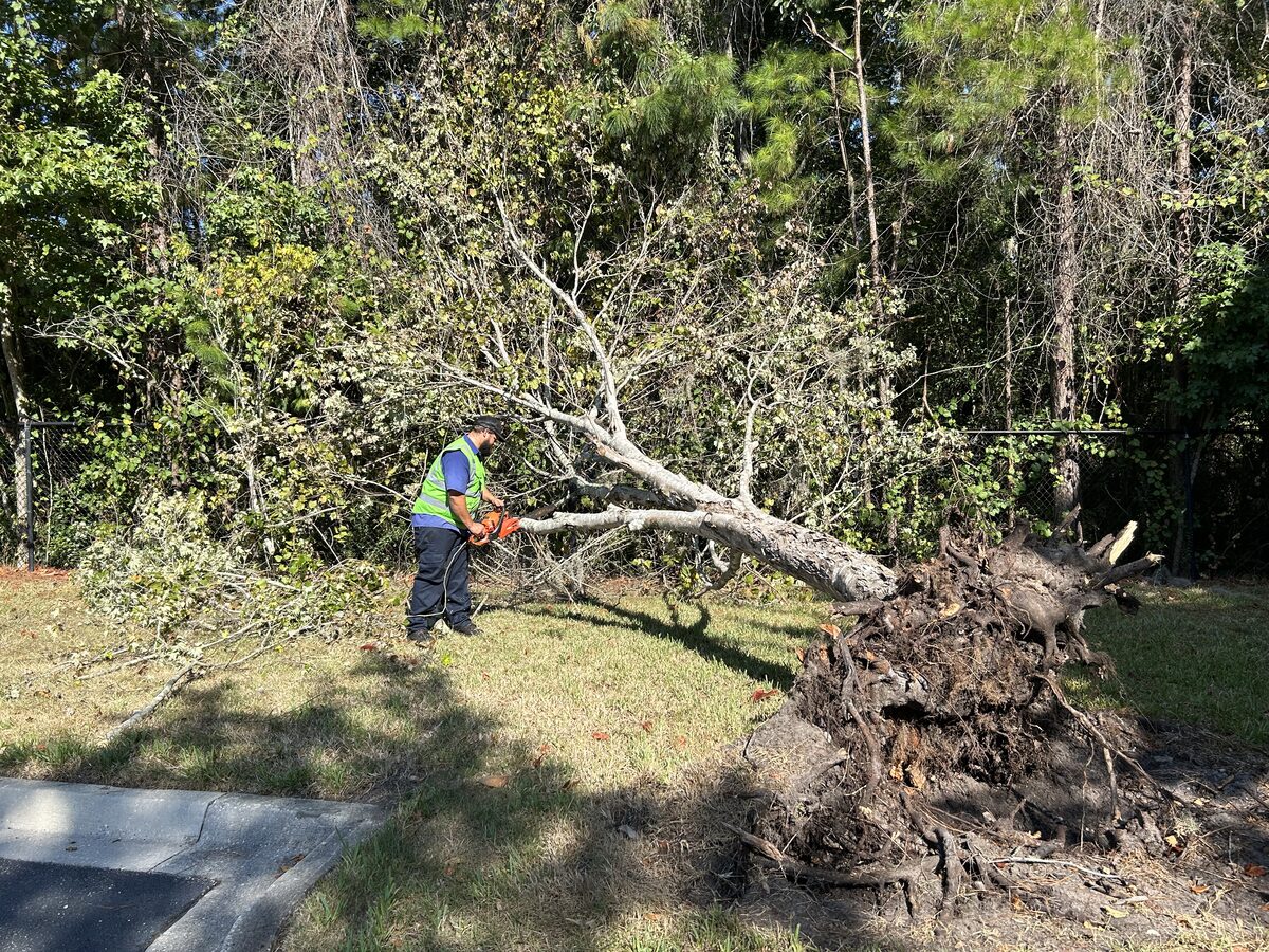 Storm debris and downed tree cleanup