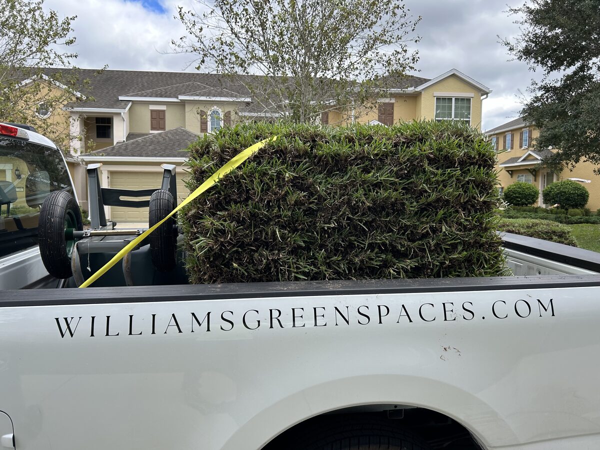 Irrigation and turf installation on a property
