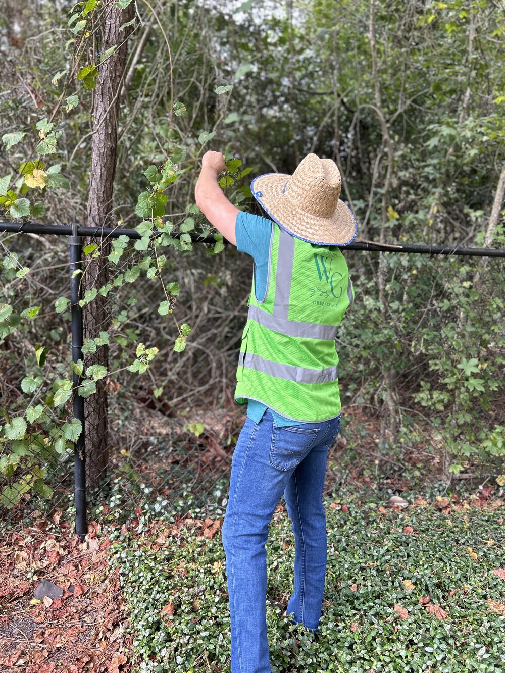 Williams Greenspaces crew member maintaining a property